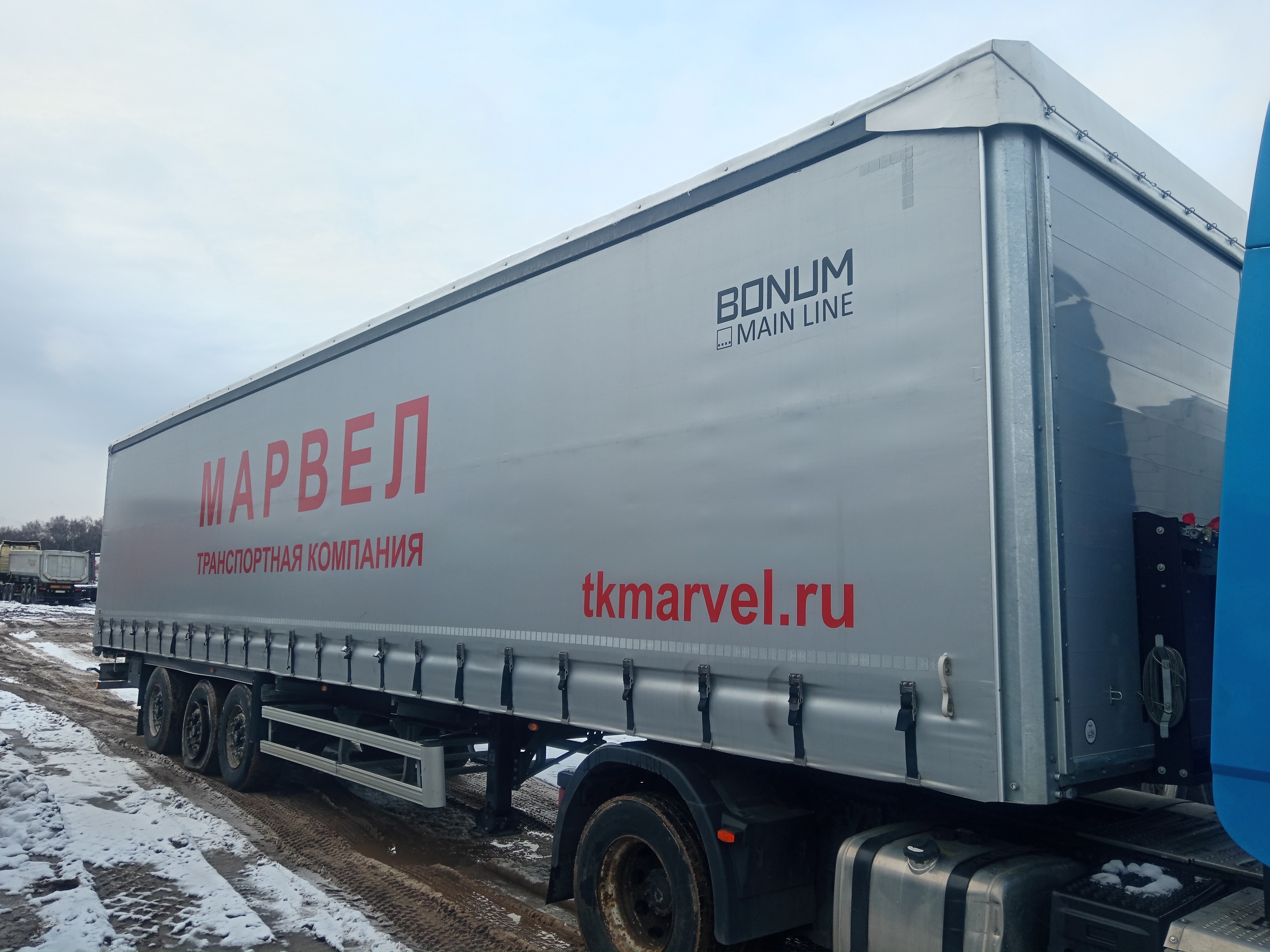 9142* Полуприцеп шторный