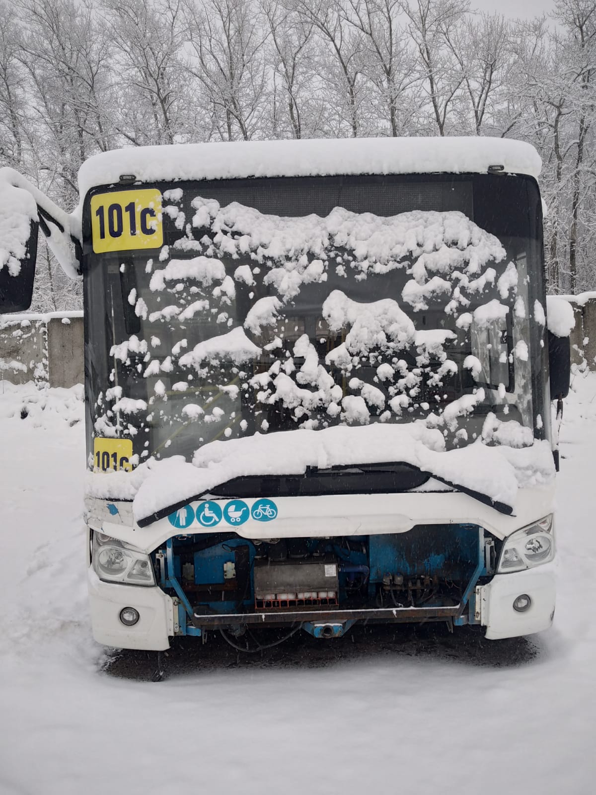 4292 Автобус