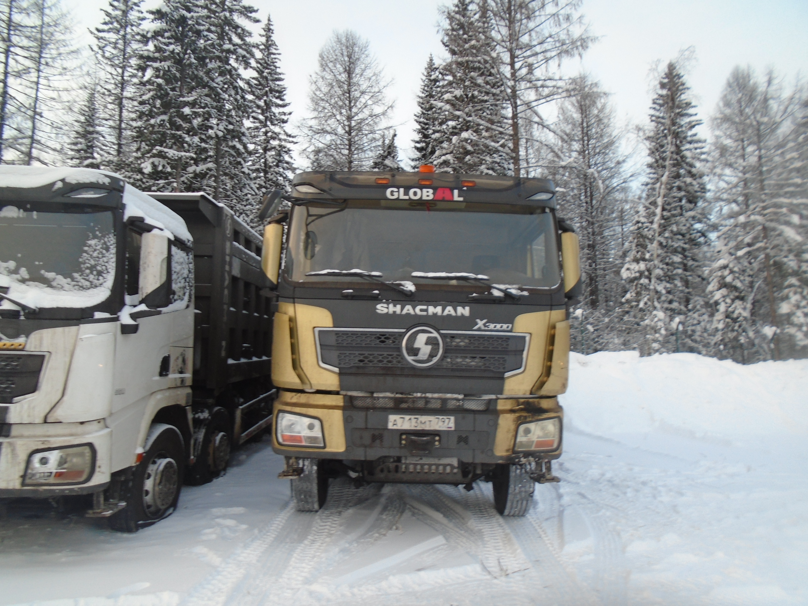 SX* 8x4 Самосвал